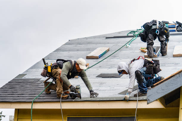 Professional Gutter Installation technician working in Palmdale, PA